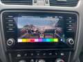 Skoda Octavia Combi RS245*Pano*Kamera*AbstTemp*Virtual Blau - thumbnail 16