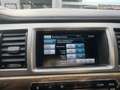 Jaguar XF 3.0 V6 AWD Premium Business Edition  "one of a kin Grau - thumbnail 27