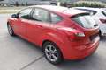 Ford Focus Easy 1,6 TDCi Rot - thumbnail 5