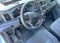 Ford Transit 350L2 Kühlkoffer Trend Blanc - thumbnail 5