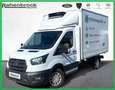 Ford Transit 350L2 Kühlkoffer Trend Blanc - thumbnail 1