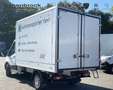 Ford Transit 350L2 Kühlkoffer Trend Blanc - thumbnail 4