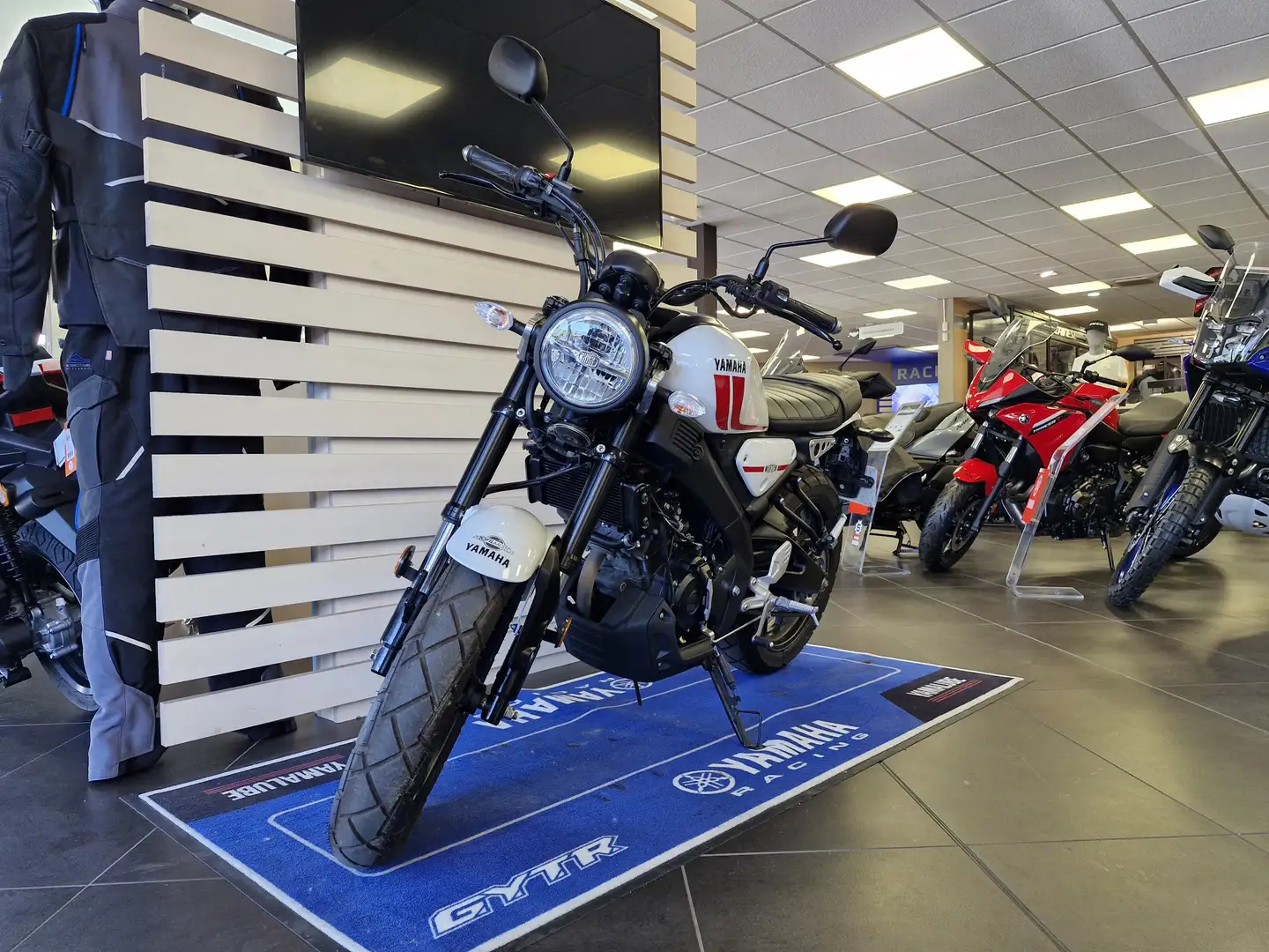 Yamaha XSR 125 White - 1