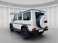 Mercedes-Benz G 500 Comand Kamera Standh. Night Harman Kardon Blanc - thumbnail 3