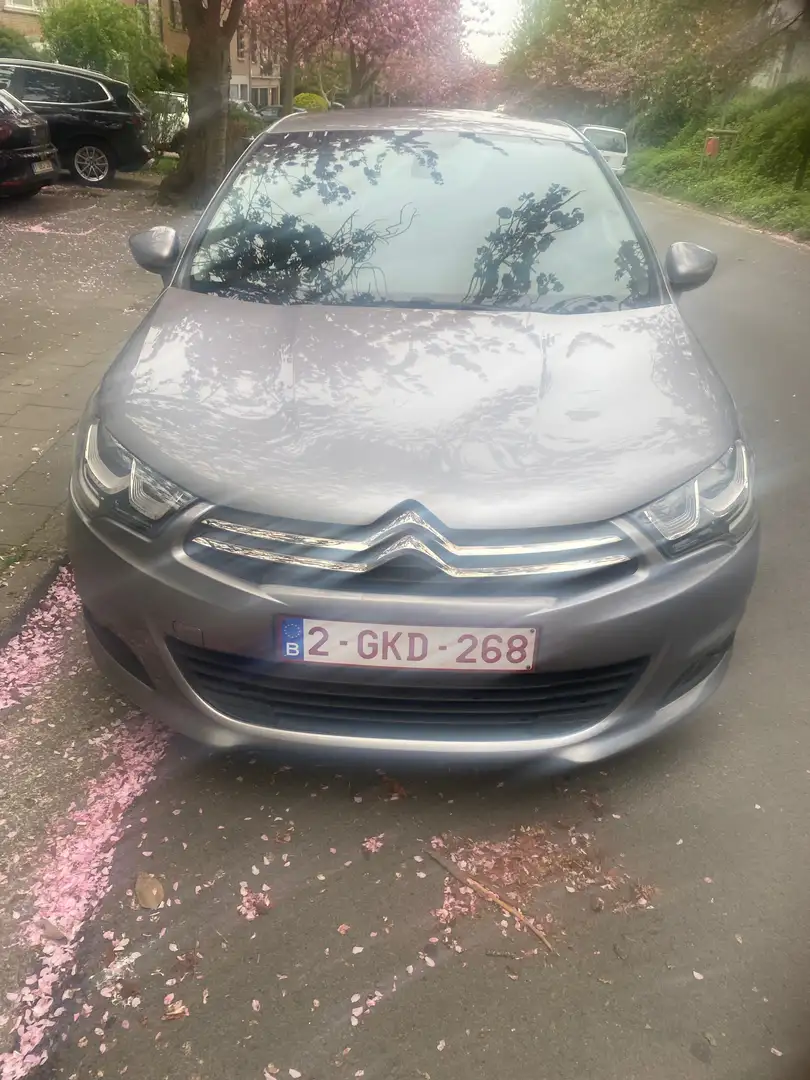 Citroen C4 C4 BlueHDi 100Business Class Argent - 2