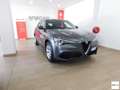 Alfa Romeo Stelvio 2.2 T.diesel 190 CV AT8 Q4 Bus. Grigio - thumbnail 1