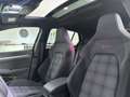 Volkswagen Golf GTI Golf 8.5 GTI 2.0 265 Cv Zwart - thumbnail 12