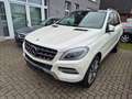 Mercedes-Benz ML 350 CDI BlueTec.Navi.Bi-Xe.Pano.Leder.HUD Weiß - thumbnail 3