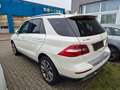 Mercedes-Benz ML 350 CDI BlueTec.Navi.Bi-Xe.Pano.Leder.HUD Weiß - thumbnail 4