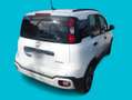 Fiat Panda Panda 1.0 FireFly S&S Hybrid Pandina Weiß - thumbnail 3