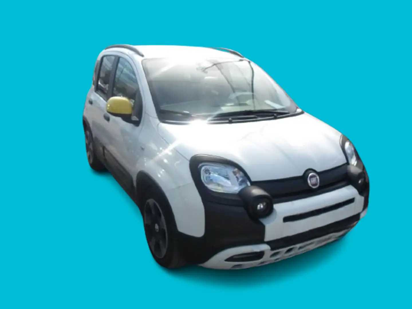 Fiat Panda Panda 1.0 FireFly S&S Hybrid Pandina Bianco - 2