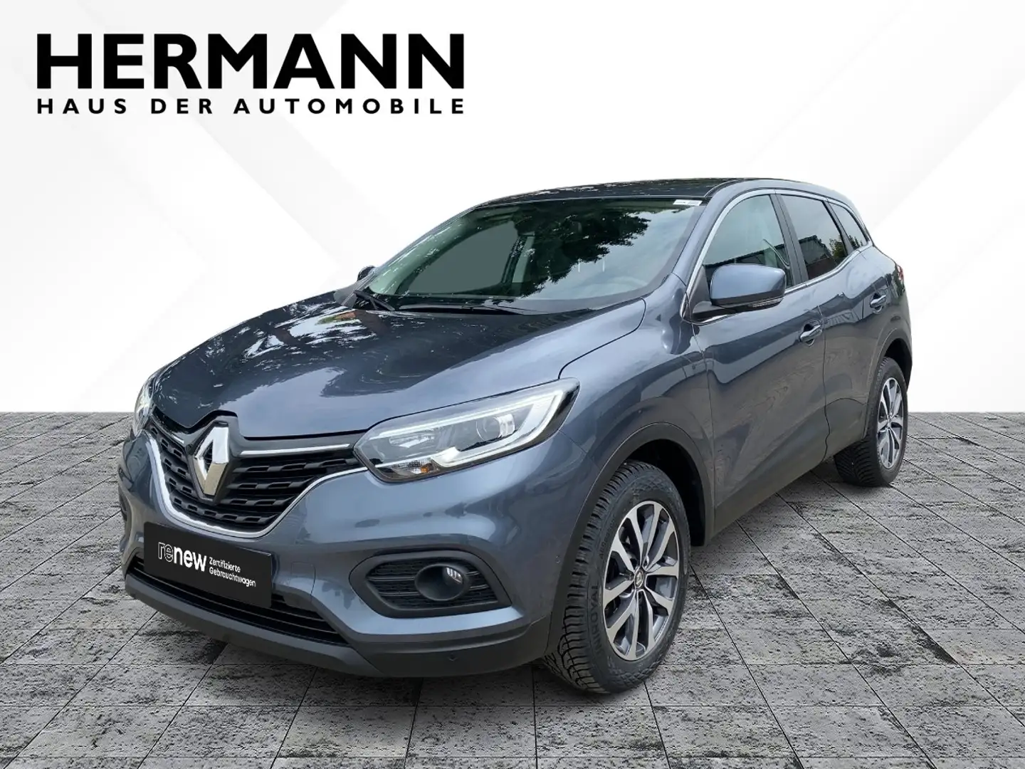 Renault Kadjar 1.3 TCe 140 GPF Zen LED*SHZ*PDC*2xKlima Grau - 1
