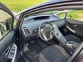 Toyota Prius Basis Brązowy - thumbnail 9