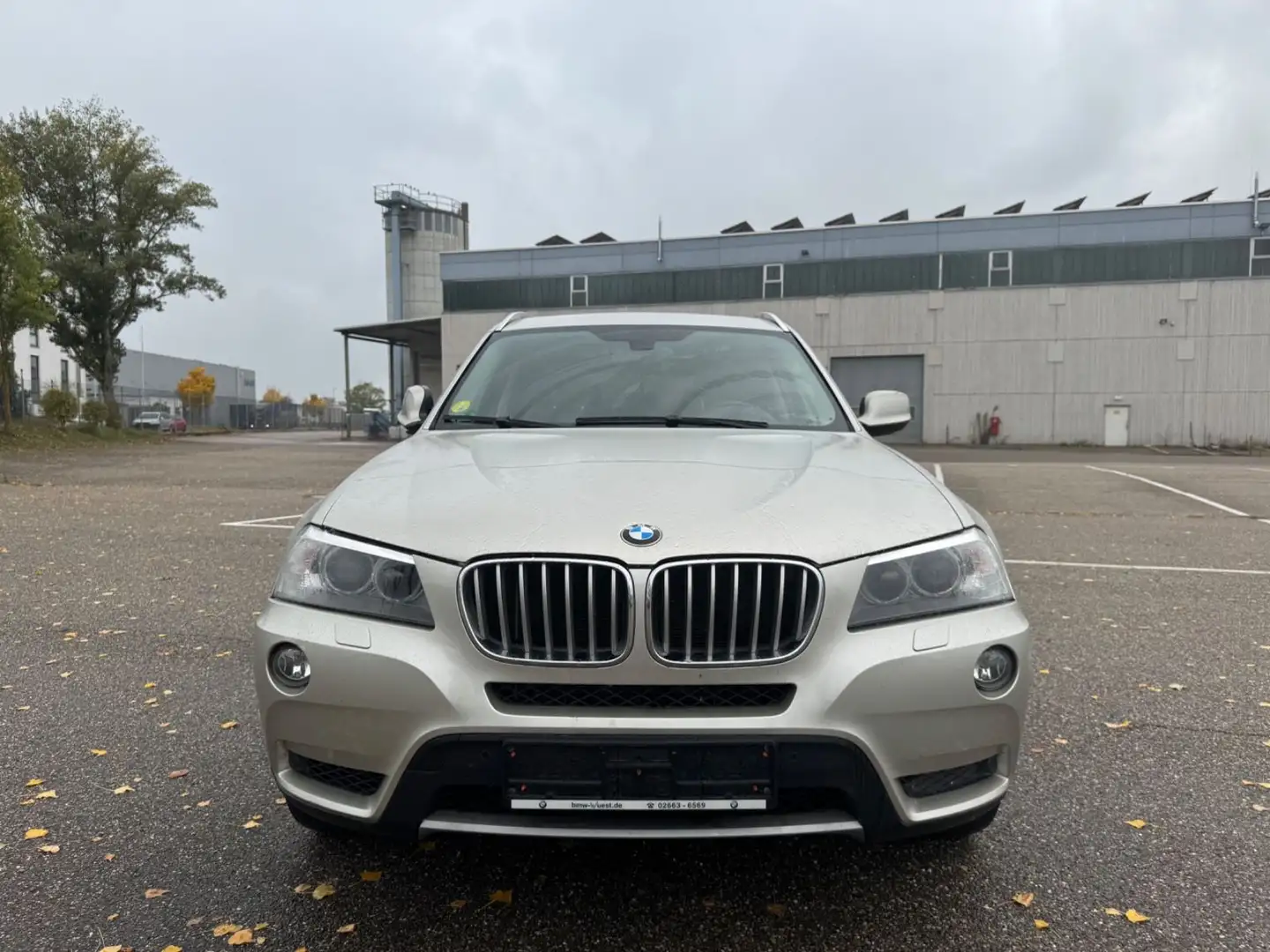 BMW X3 Baureihe X3 xDrive 35 d Gold - 2