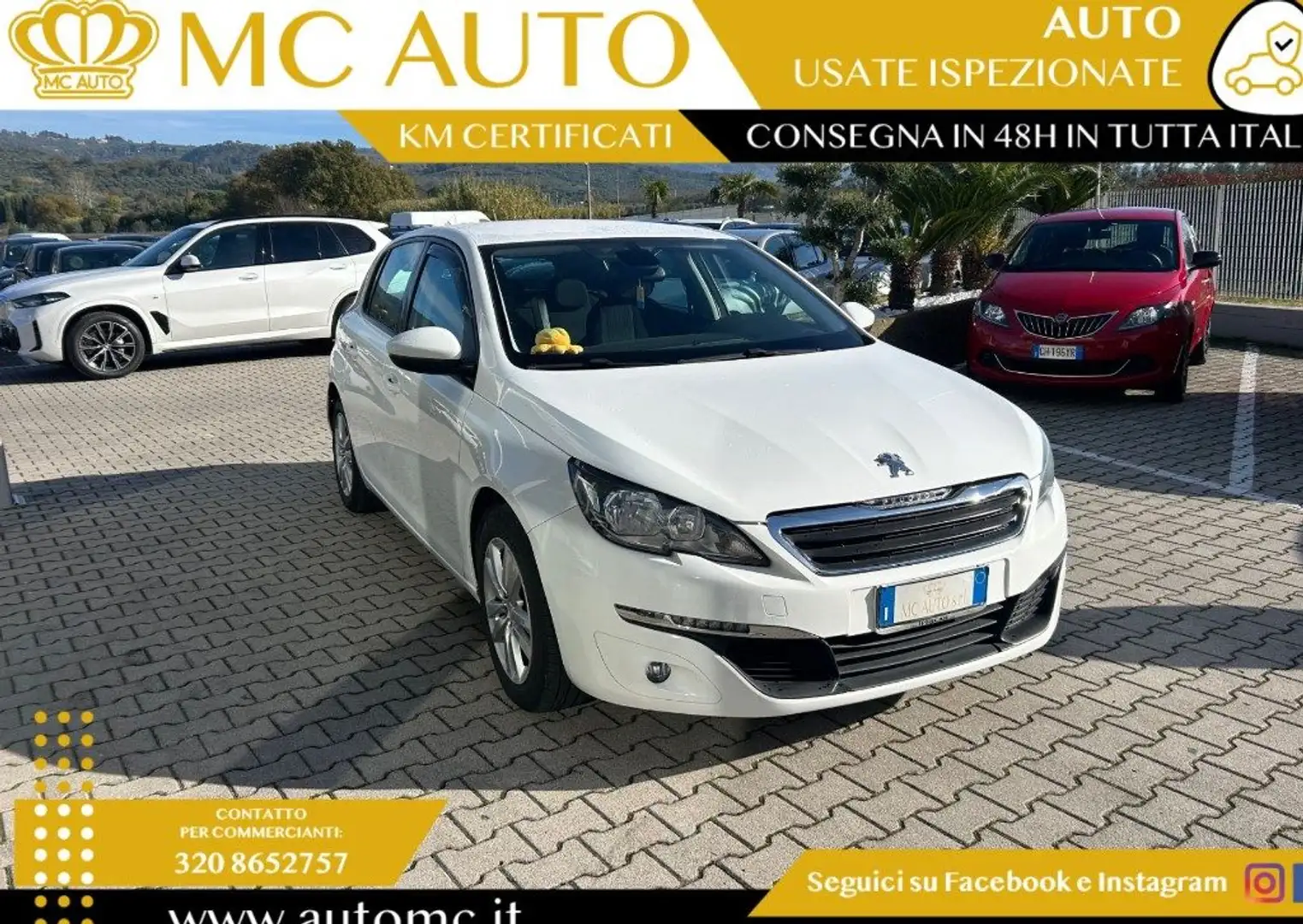 Peugeot 308 BlueHDi 100 S&S Active Bianco - 1