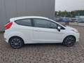 Ford Fiesta 1.25 Trend 12 Monaten gebraucht Garantie Weiß - thumbnail 12