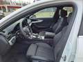 Audi A4 Avant 40 TDI quattro 2x S line Matrix, Pano, Stand Blanc - thumbnail 5