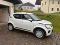 Suzuki Ignis Ignis 1,2 Dualjet Hybrid Allgrip Clear Clear Weiß - thumbnail 1