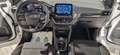 Ford Puma 1.0 EcoBoost MHEV Titanium 125 Wit - thumbnail 14
