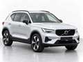 Volvo XC40 B3 Plus Dark Aut. Grau - thumbnail 7