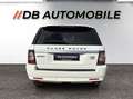 Land Rover Range Rover Sport 3,0 SDV6 HSE Black Blanc - thumbnail 6
