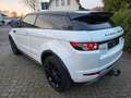 Land Rover Range Rover Evoque Dynamic 2.2 TD4 Aut. Euro5 Weiß - thumbnail 12