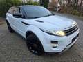Land Rover Range Rover Evoque Dynamic 2.2 TD4 Aut. Euro5 Weiß - thumbnail 4