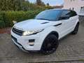 Land Rover Range Rover Evoque Dynamic 2.2 TD4 Aut. Euro5 Weiß - thumbnail 1
