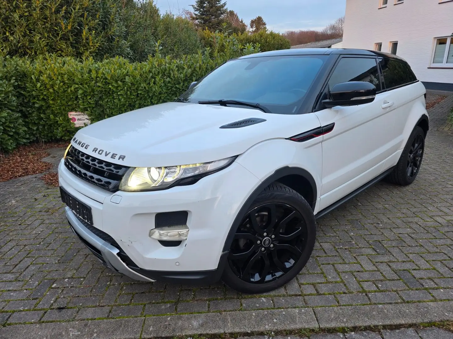 Land Rover Range Rover Evoque Dynamic 2.2 TD4 Aut. Euro5 Weiß - 1