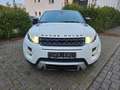 Land Rover Range Rover Evoque Dynamic 2.2 TD4 Aut. Euro5 Weiß - thumbnail 7