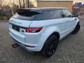 Land Rover Range Rover Evoque Dynamic 2.2 TD4 Aut. Euro5 Weiß - thumbnail 3