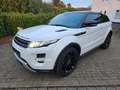 Land Rover Range Rover Evoque Dynamic 2.2 TD4 Aut. Euro5 Weiß - thumbnail 6
