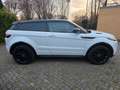 Land Rover Range Rover Evoque Dynamic 2.2 TD4 Aut. Euro5 Weiß - thumbnail 9