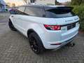 Land Rover Range Rover Evoque Dynamic 2.2 TD4 Aut. Euro5 Weiß - thumbnail 5