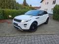 Land Rover Range Rover Evoque Dynamic 2.2 TD4 Aut. Euro5 Weiß - thumbnail 2