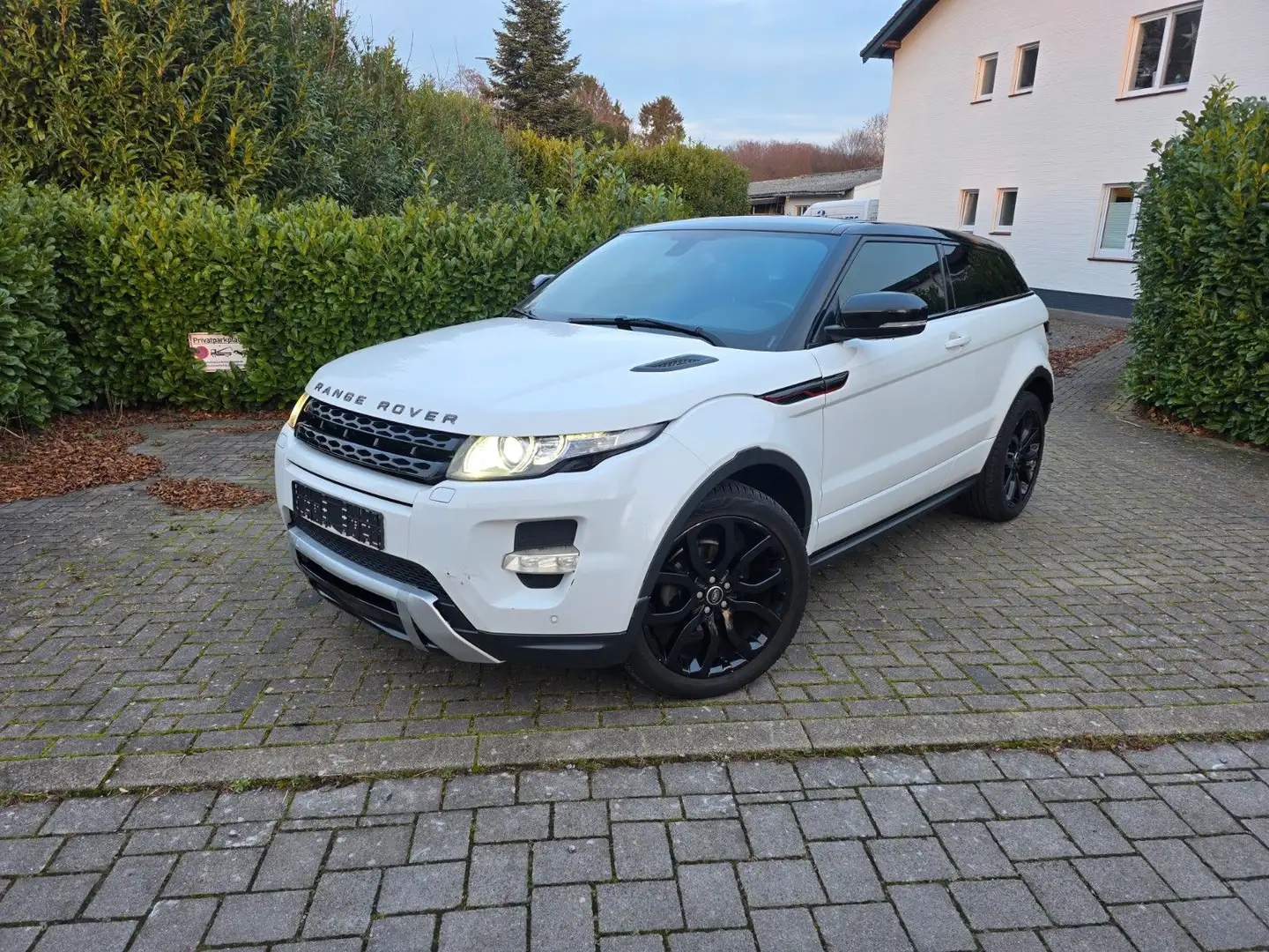 Land Rover Range Rover Evoque Dynamic 2.2 TD4 Aut. Euro5 Weiß - 2