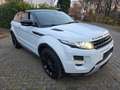 Land Rover Range Rover Evoque Dynamic 2.2 TD4 Aut. Euro5 Weiß - thumbnail 8