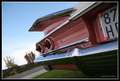 Chevrolet Bel Air (Pink Panther) Weiß - thumbnail 11