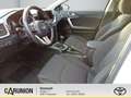 Kia Ceed / cee'd 1.6CRDi(48V Mild-Hybrid) Vision Weiß - thumbnail 7