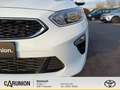 Kia Ceed / cee'd 1.6CRDi(48V Mild-Hybrid) Vision Weiß - thumbnail 18