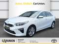 Kia Ceed / cee'd 1.6CRDi(48V Mild-Hybrid) Vision Weiß - thumbnail 1
