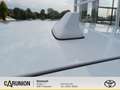 Kia Ceed / cee'd 1.6CRDi(48V Mild-Hybrid) Vision Weiß - thumbnail 18