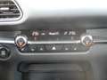 Mazda CX-30 SKY-X 2.0 M-HYBRID SELECT VOLL-LED KAMERA PDC SD-N Schwarz - thumbnail 12