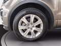 Land Rover Range Rover Evoque 5p 2.0 td4 hse 150cv auto Beige - thumbnail 13