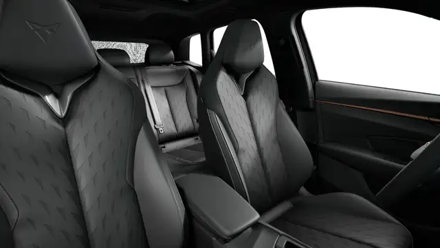 Cupra Terramar view 11