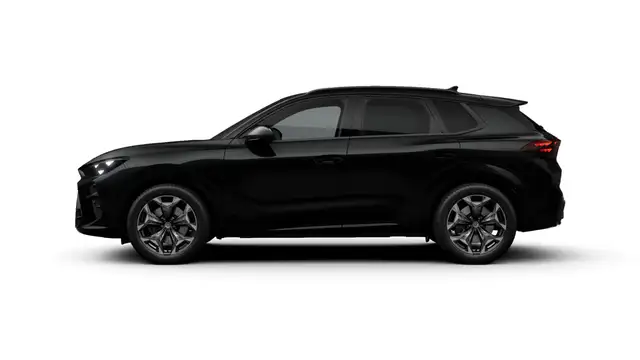 Cupra Terramar view 6