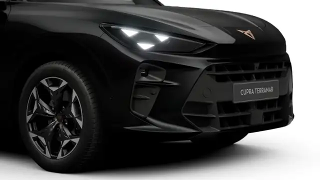 Cupra Terramar view 8