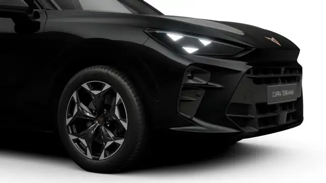 Cupra Terramar view 4