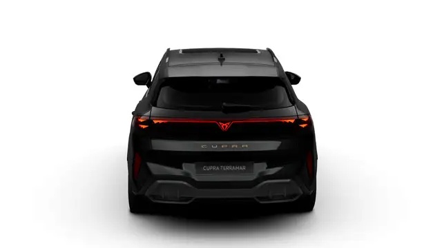 Cupra Terramar view 7