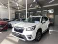 Subaru Forester 2.0ie Mild-Hybrid Aktive S/S Bi-Xenon ACC AHK Bianco - thumbnail 1